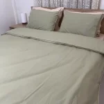 ست سبینا